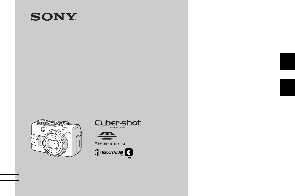 Sony DSC-V1 Manuale d'uso | Pagine: 264