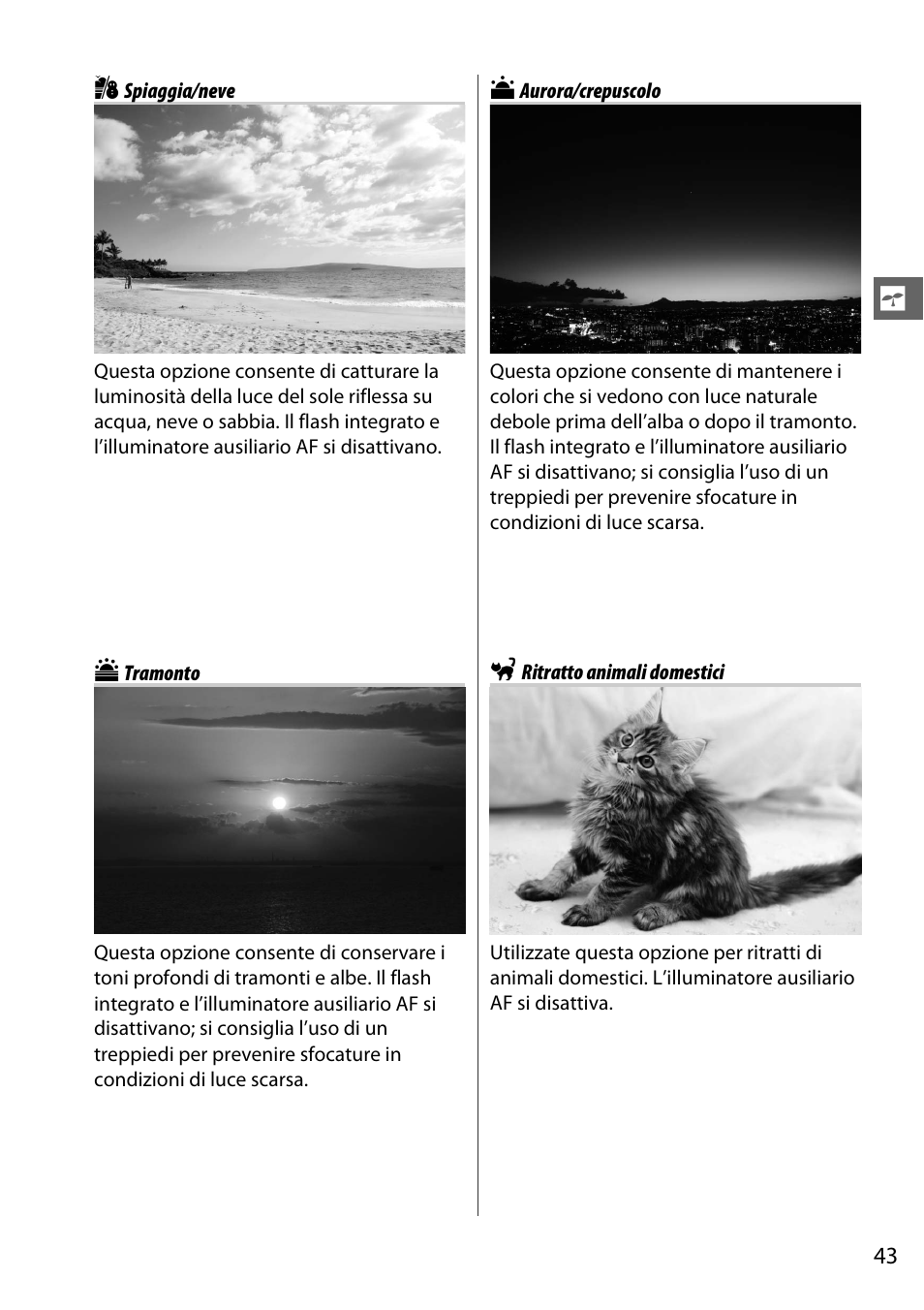 Spiaggia/neve, Tramonto, Aurora/crepuscolo | Ritratto animali domestici | Nikon D7000 Manuale d'uso | Pagina 63 / 348
